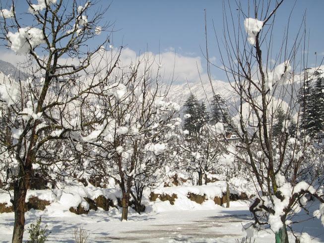 Hotel Treebo Trend Celebriti Manali Vashist Zewnętrze zdjęcie