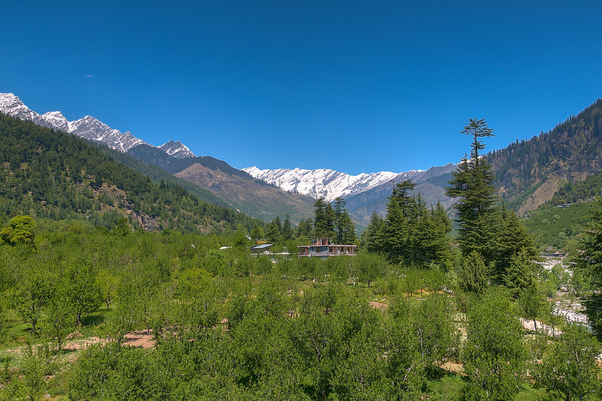 Hotel Treebo Trend Celebriti Manali Vashist Zewnętrze zdjęcie